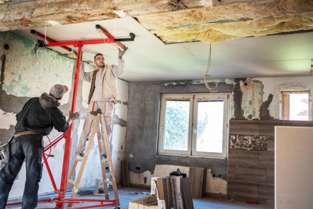 Best Insulation Inspection Services  in Cascade Chipita Park, CO