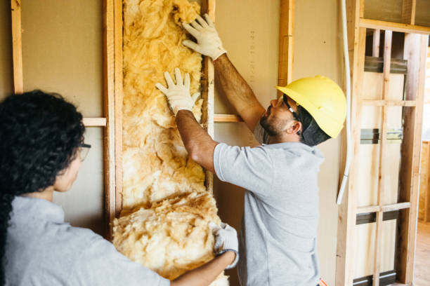 Best Wall Insulation Contractor  in Cascade Chipita Park, CO