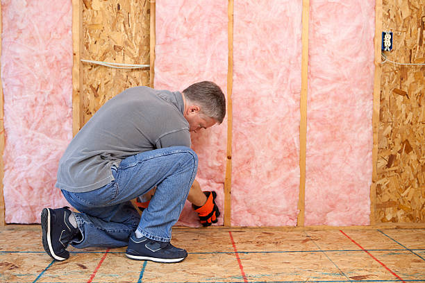 Best Crawl Space Insulation  in Cascade Chipita Park, CO